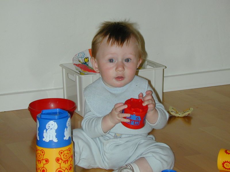 Knud on the kitchen floor